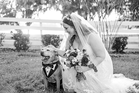 wedding-807