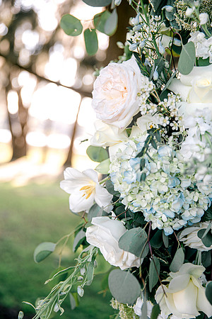 wedding -595
