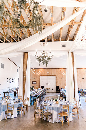 wedding -649