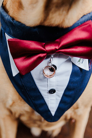 wedding-422