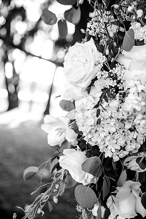 wedding -596