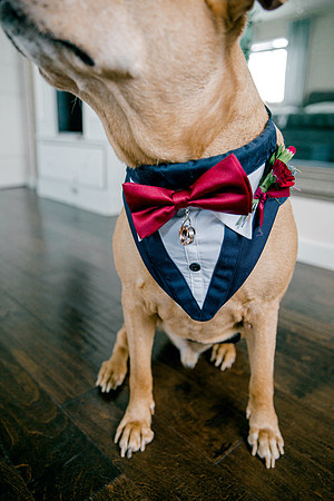 wedding-412