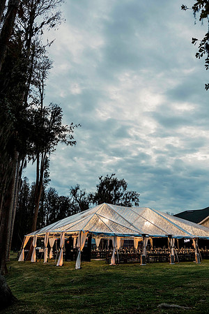 wedding (959 of 1462)