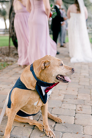 wedding-557