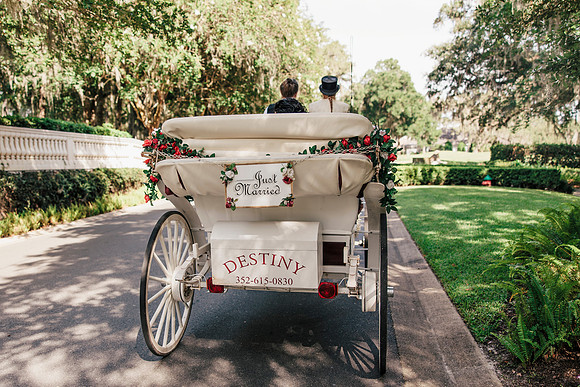 wedding-223