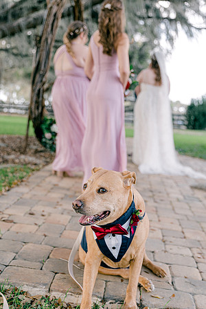 wedding-558
