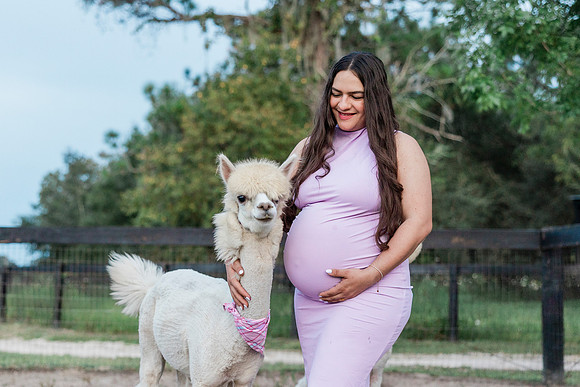 maternity-29