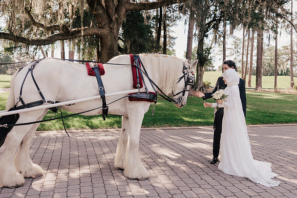 wedding-168