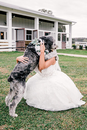 wedding-830
