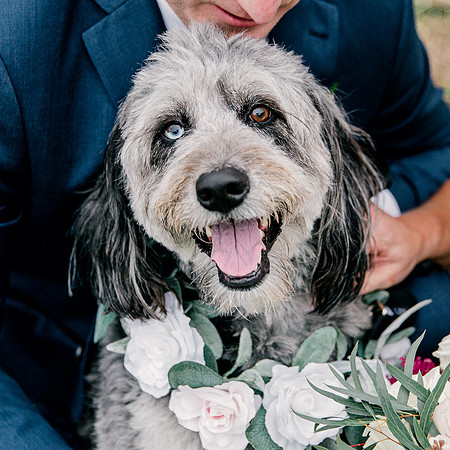 wedding-788