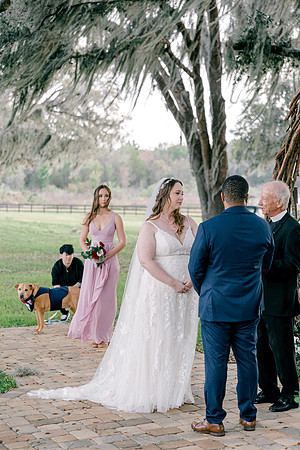 wedding-553