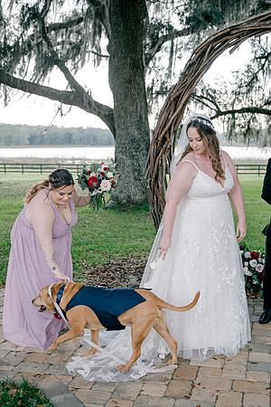 wedding-546
