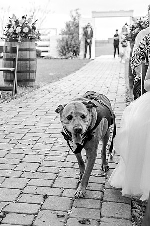 wedding-544