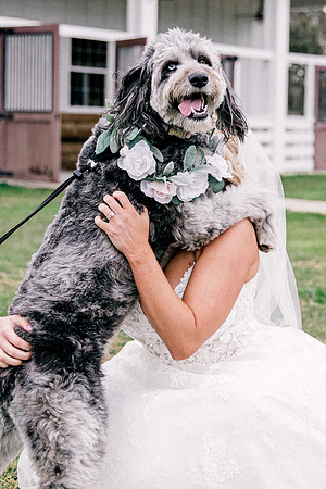 wedding-833