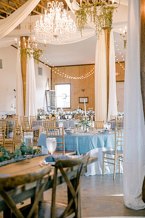 wedding -579
