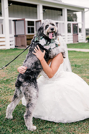wedding-832