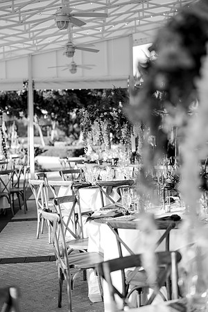 wedding-897