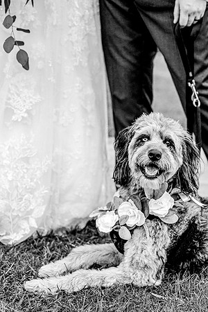 wedding-822