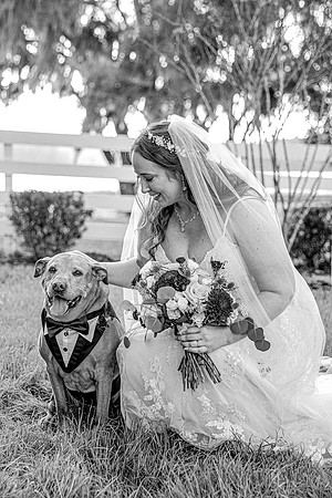 wedding-804