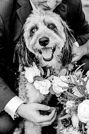 wedding-100