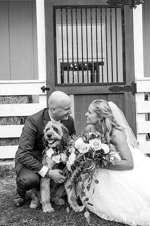 wedding-784
