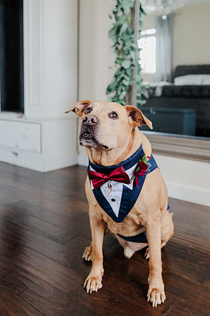 wedding-417