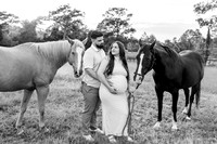 maternity-3
