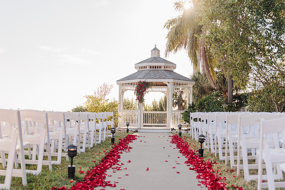 wedding-585