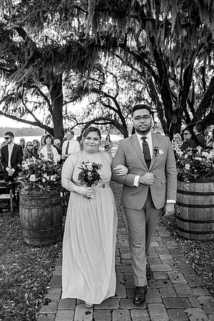 wedding-662