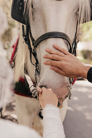 wedding-206