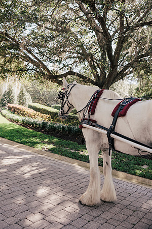 wedding-258