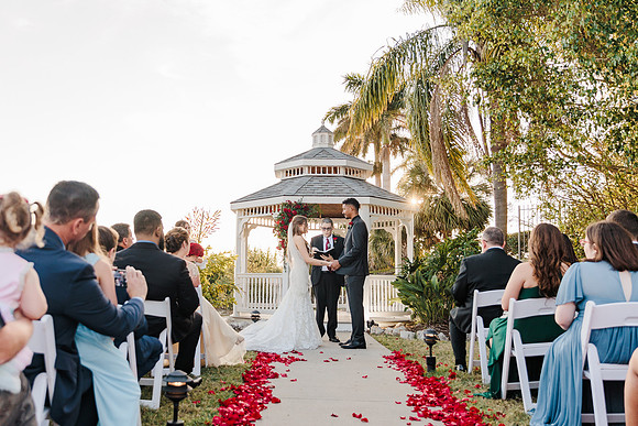 wedding-715