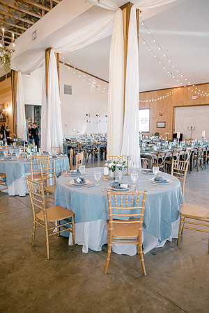 wedding -569