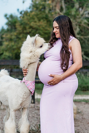 maternity-28