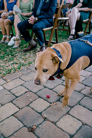 wedding-545