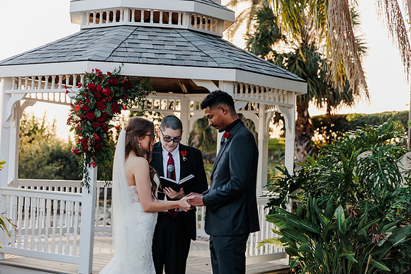 wedding-731