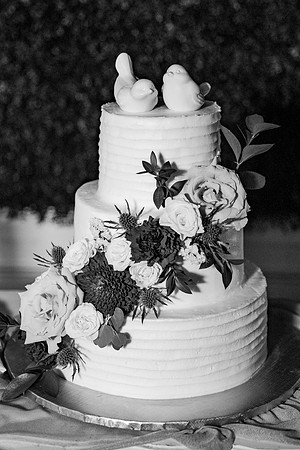 wedding-1036