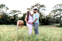 maternity-1