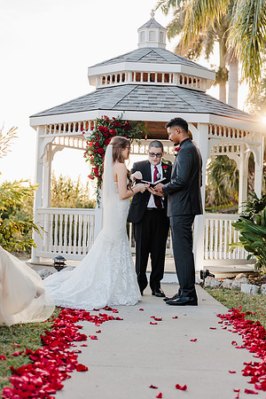 wedding-717