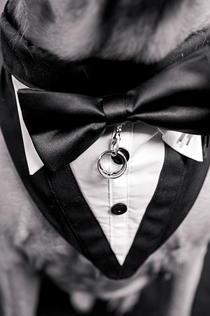 wedding-423