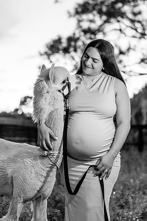 maternity-32
