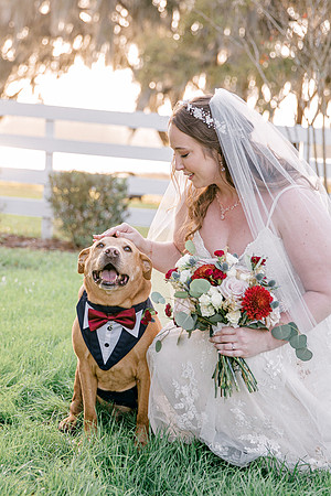 wedding-802