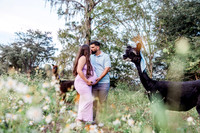 maternity-18