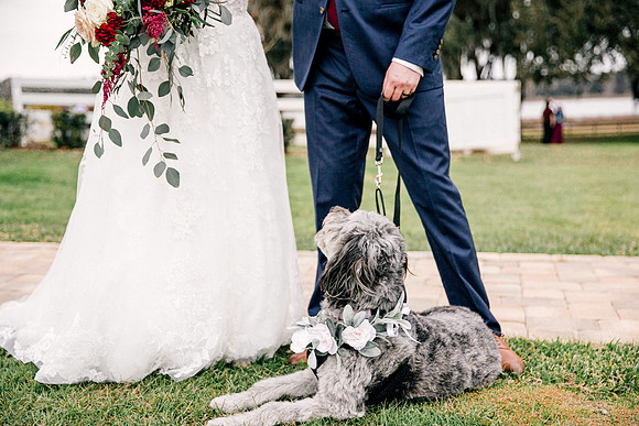wedding-819