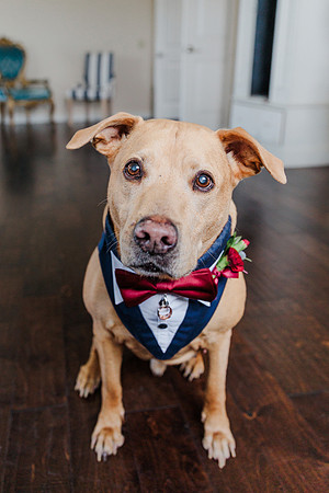 wedding-425