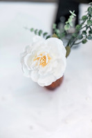wedding-596