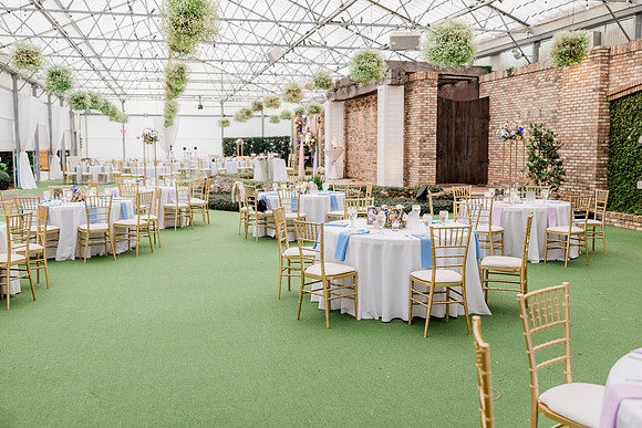 wedding-727