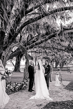 wedding-562