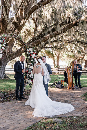 wedding-482