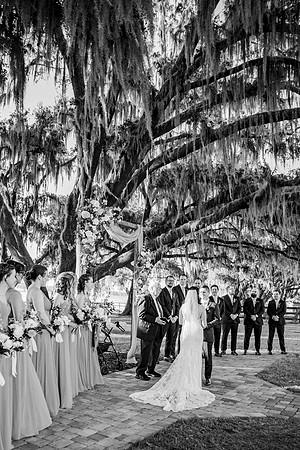 wedding -729